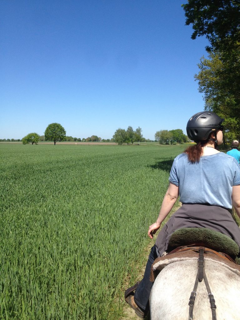Unterwegs mit der Gruppe, Mensch und Pferd