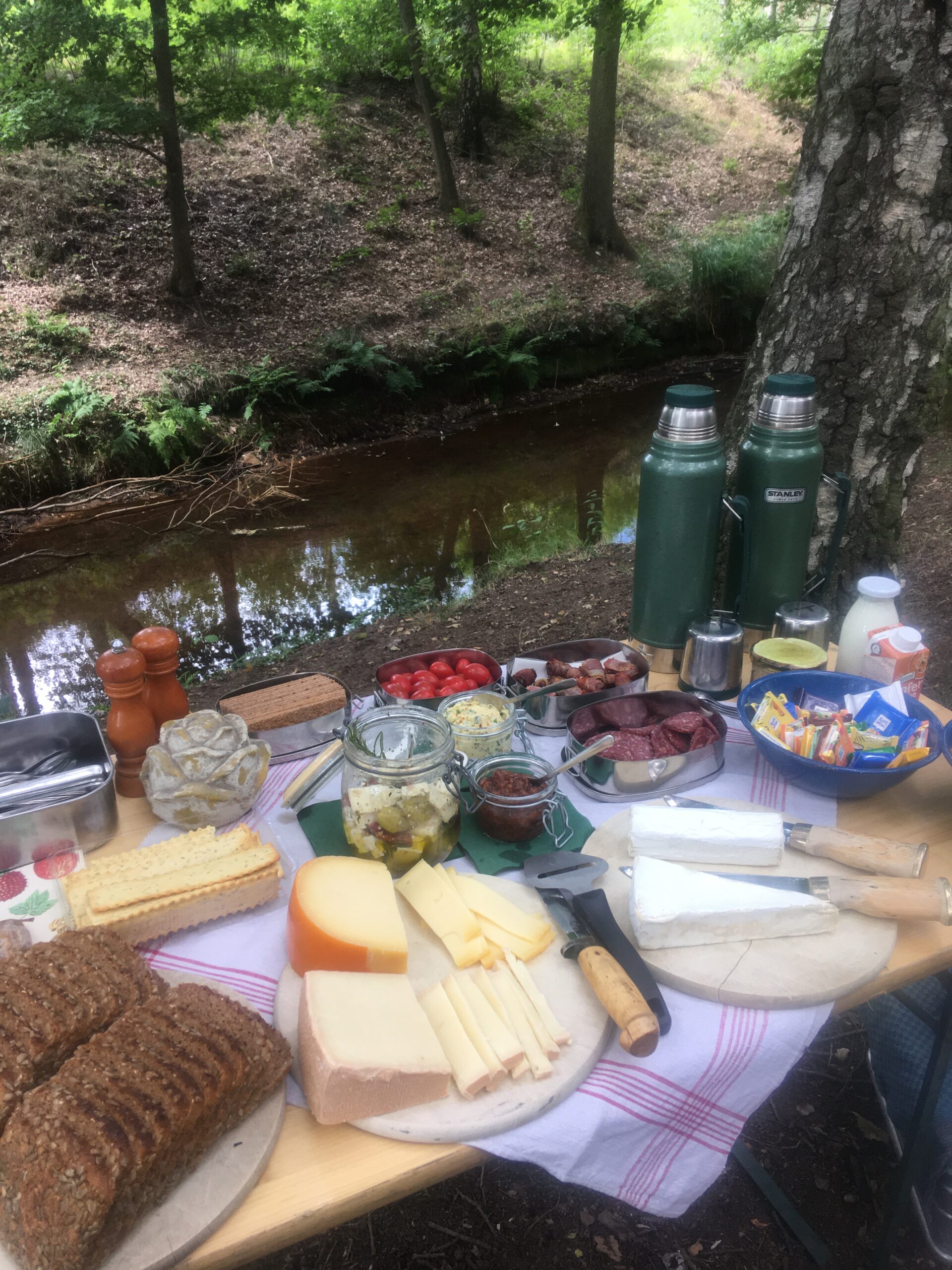Picknick an der Alpe