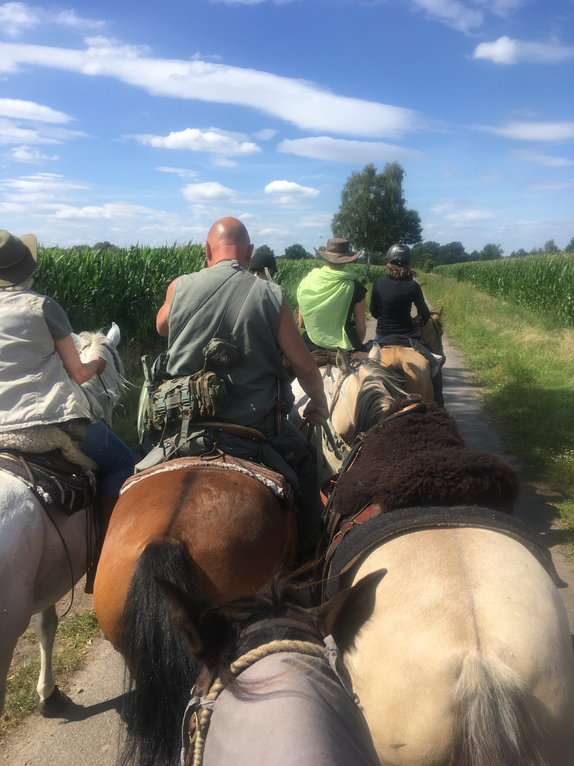 In der Gruppe auf den Pferden unterwegs in Niedersachsen