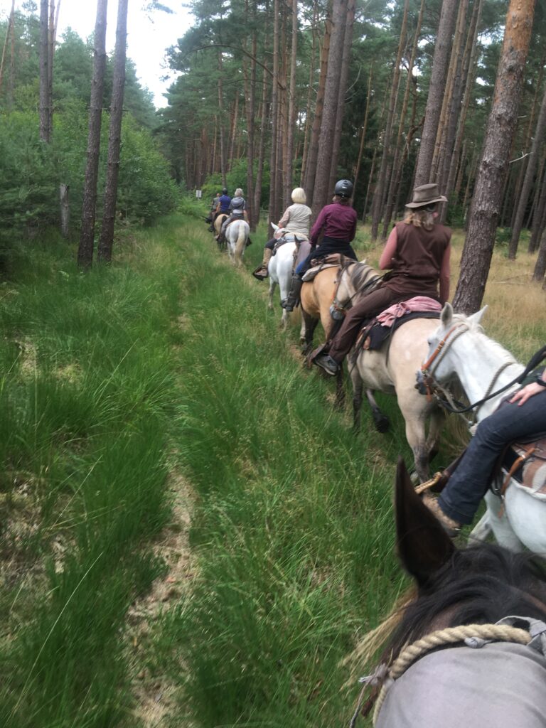 Unterwegs beim Ausritt