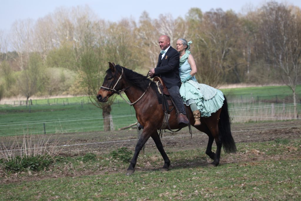 2013_hoffest-231-1024x683