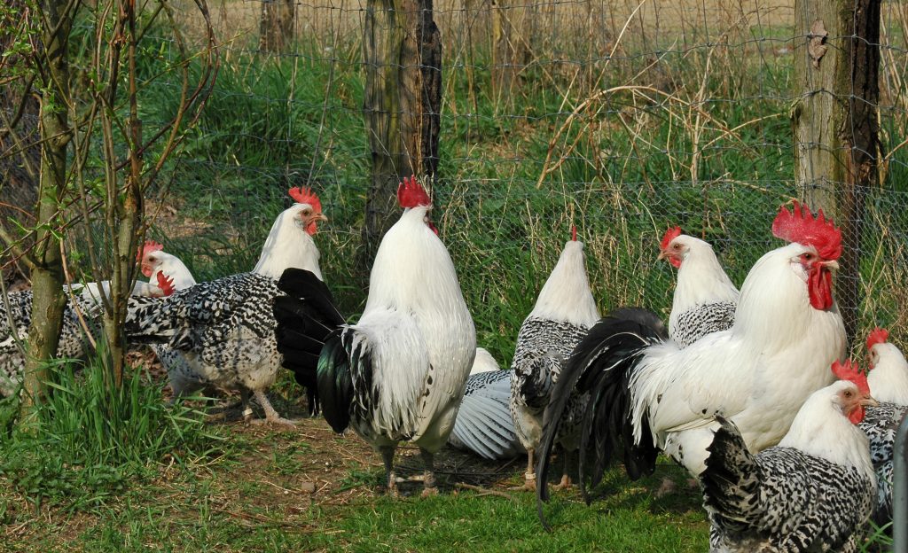 Photos-Mühlenhof-011-1024x624